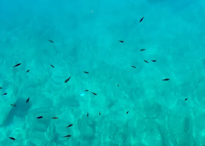 Luxury Adria - Sea & Mountain View, Whirlpool And Free Parking Макарска