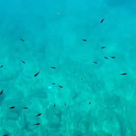 Luxury Adria Makarska - Sea & Mountain View, Whirlpool And Private Parking Макарська